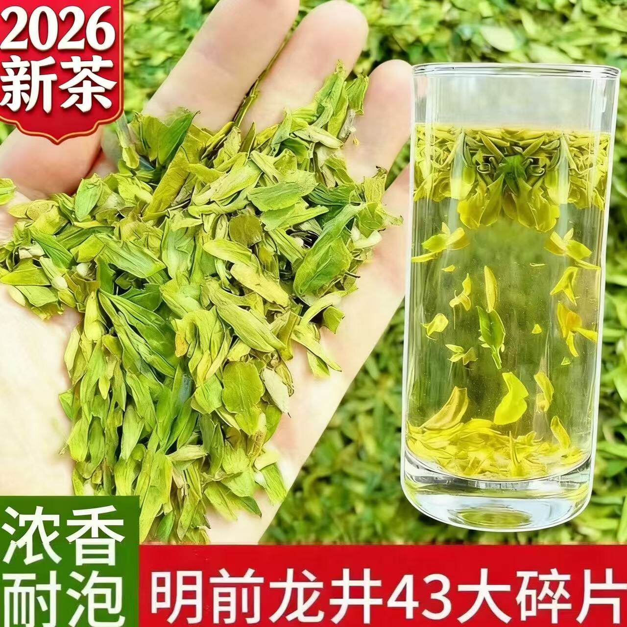 正宗碎片豆香型2026新茶买一送一