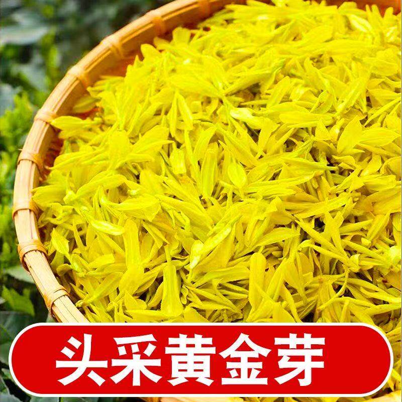 【罐】2026新茶明前高山黄金芽绿茶春茶浓香耐泡袋装豆香浓