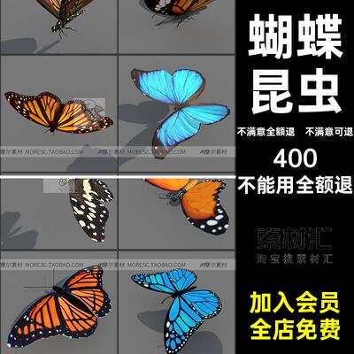 蝴蝶昆虫帝王CMX模型带斑蝶款fbxobj蓝贴图素材素材fb