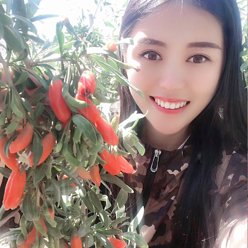 青海柴达木诺木洪昆奇一级果克枸杞手慢无