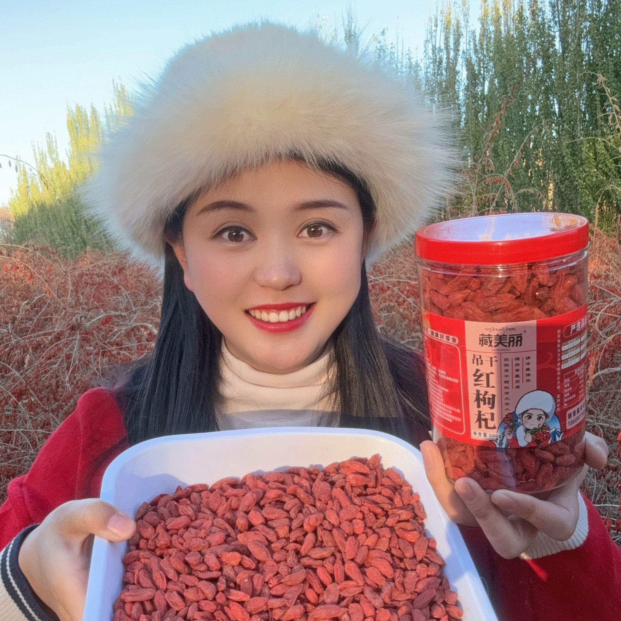 【吊干大果】昆奇新货头茬高原枸杞吊干枸杞500克/瓶丁颖手工优质