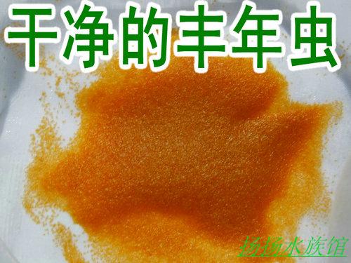 新货可孵化丰年虾卵卤虫卵 孵化率95%优质大红卵渔场鱼苗开口饲料在类目 宠物/宠物食品及用品, 水族世界, 观赏鱼饲料中 - 来自Buy2taobao.com提供专业的淘宝代购服务
