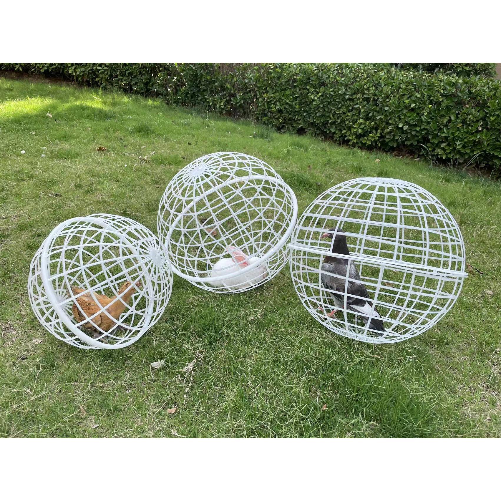 可滚动塑料圆形鸡笼球形兔笼儿童养小动物圆形网红走地创意鸡笼子