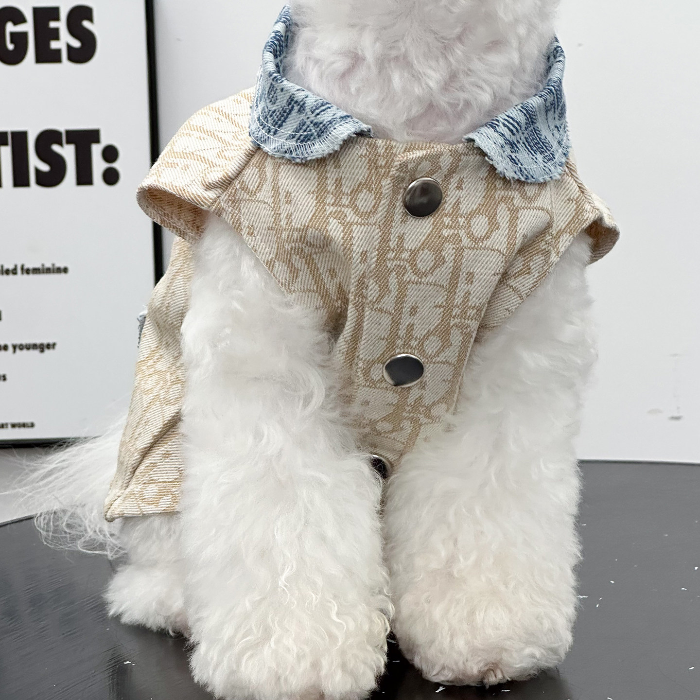 狗狗马甲宠物衣服牛仔杜宾金毛萨摩泰迪比熊大中小型犬通用新款