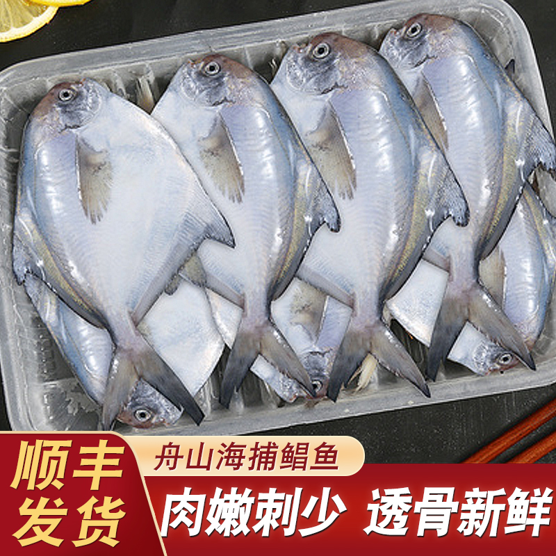 舟山深海海捕鲳鱼鲜活冷冻