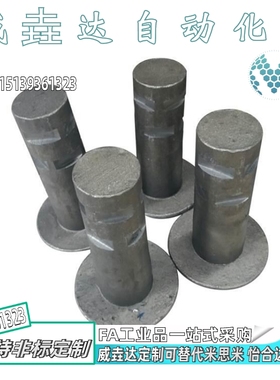 汽车模具铸入型吊钩 起重棒 铸造螺纹套 PCHT CHFL