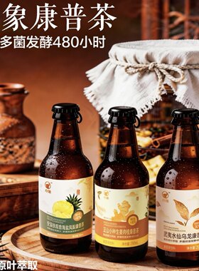 美团小象武夷水仙乌龙康普茶