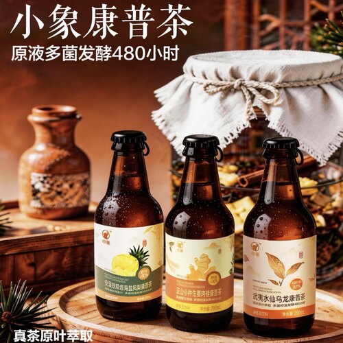 美团小象武夷水仙乌龙康普茶