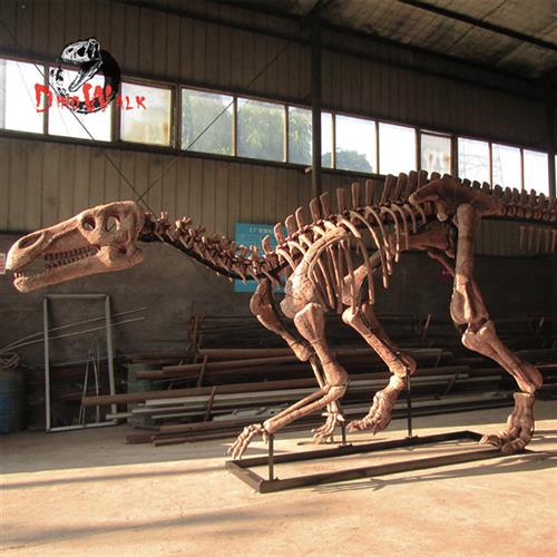 博物馆恐龙古生物化石扶绥龙禽龙骨架骨骼大型逼真玻璃钢模型标本