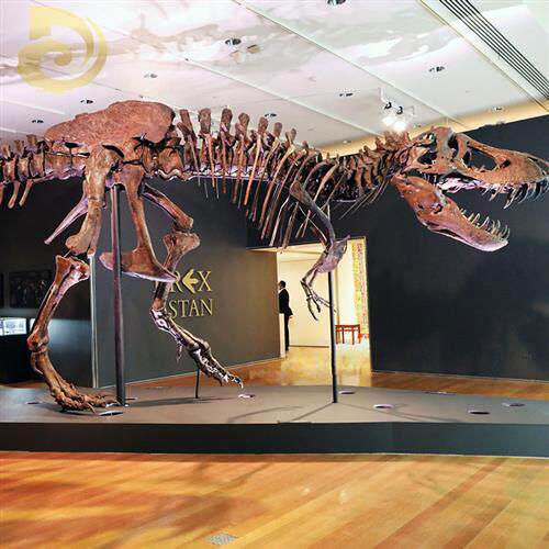 大型景观仿真霸王龙玻璃钢骨架室内博物馆恐龙骨骼化石展览雕塑