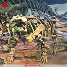仿真甲龙骨架化石大型灭绝生物骨架模型定制动物骨骼展示模型