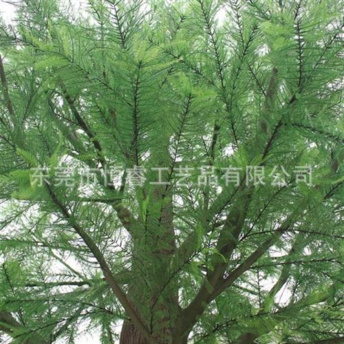 生态园林绿树仿真杉树假树玻璃钢人造杉树东莞厂家定做工程绿化树