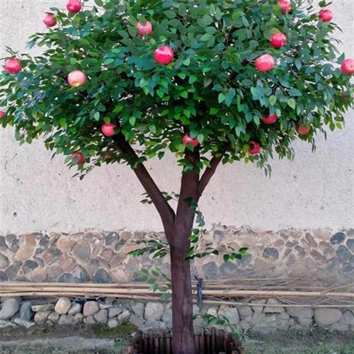 仿真假树果树苹果柿子橘子山楂树装饰实木大型装饰室内花艺