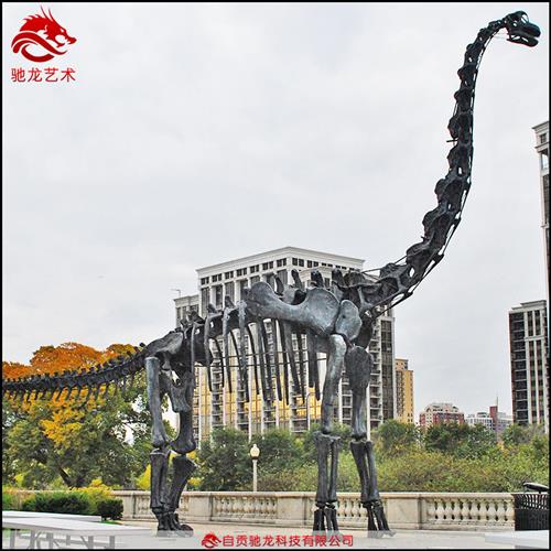 仿真马门溪龙骨架化石大型长脖子恐龙化石动物复原骨骼标本