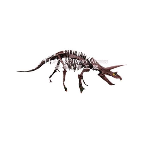 大型景区仿真三角龙骨架室内科技博物馆恐龙骨骼化石展览模型美陈