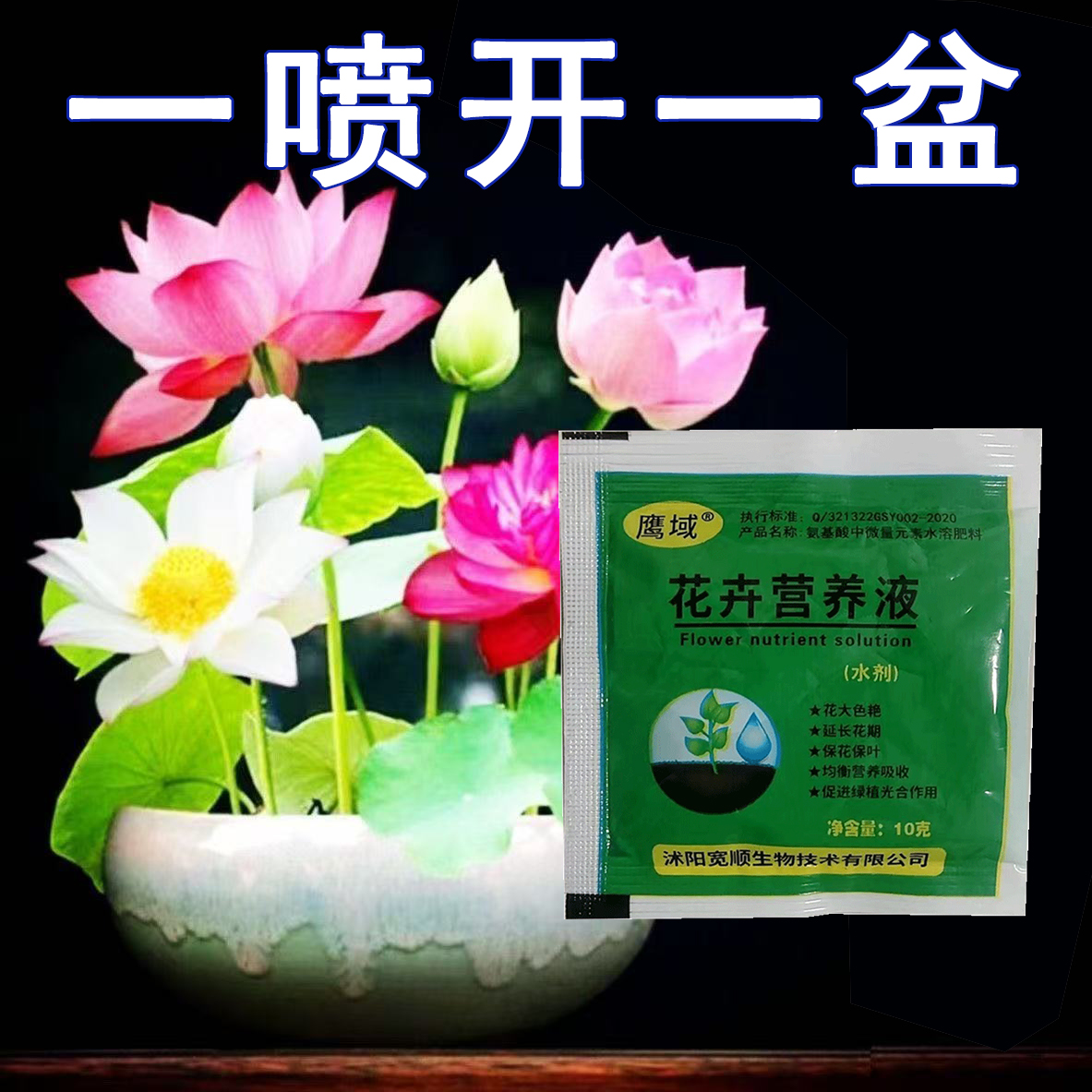 营养液水培植物营养液通用养花小包独立包装丰富营养巴西木营养液