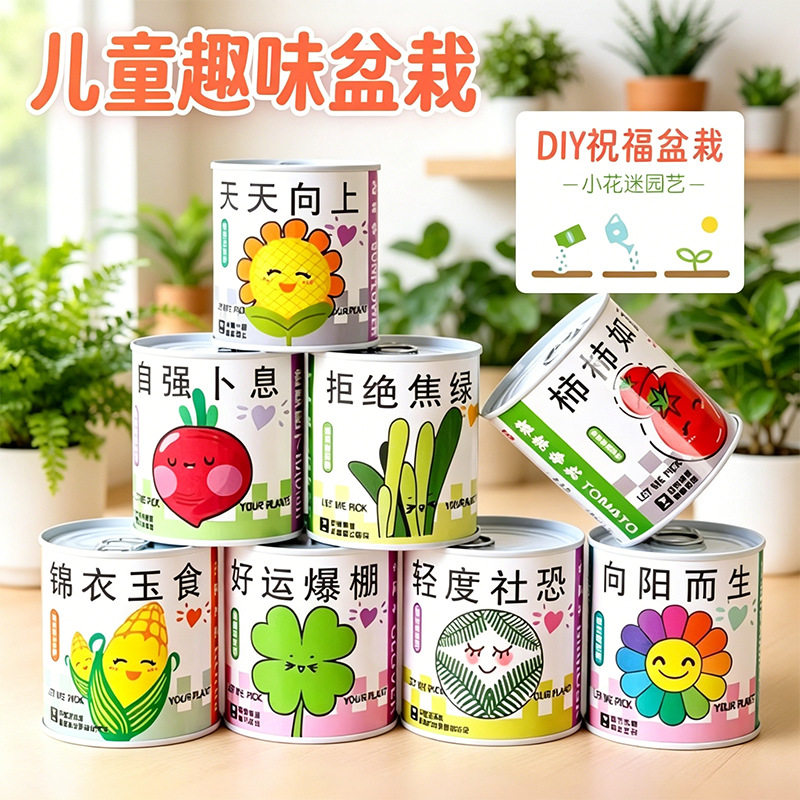 儿童易拉罐种植盆栽植物