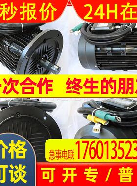 直流无刷电机 Y2稀土永磁电动机 15KW 540/650V 1500rpm 铝壳高效