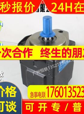 DENISON  T6E-066-2R02-B1 T6E-062-2R02-B1 T6E-072-2R02-B1