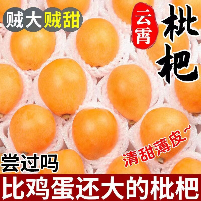 【甄选】正宗润肺枇杷新鲜水果整箱琵琶果当季现摘水果批发顺丰