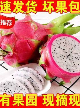 批发价广西白心火龙果新鲜包邮热带进口孕妇水果当季白色肉超甜