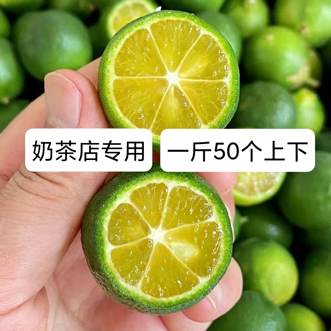 海南小金桔小青桔青金桔青柠柠檬
