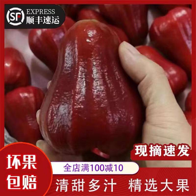 海南正宗黑金刚莲雾当季特产孕妇新鲜热带水果雾莲仙女果整箱包邮,水产肉类/新鲜蔬果/熟食,莲雾,淘宝优惠券,粉丝福利购,淘宝优惠卷