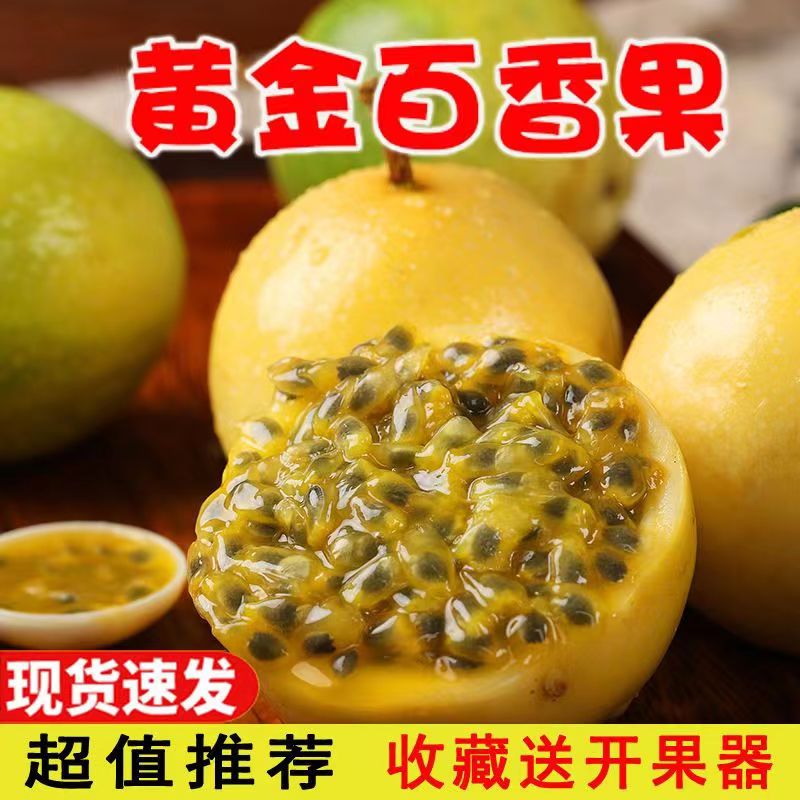 鸿承福建黄金百香果新鲜黄皮