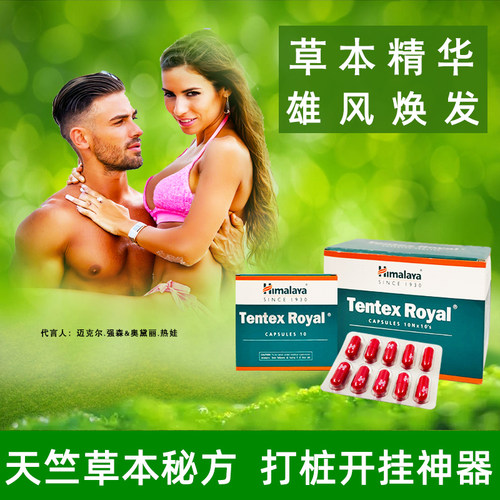 打桩活力片TentexRoyal喜马拉雅