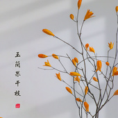 山野艺墅玉兰花干树枝长枝枯天然风干花枝禅意侘寂风客厅装 饰摆设