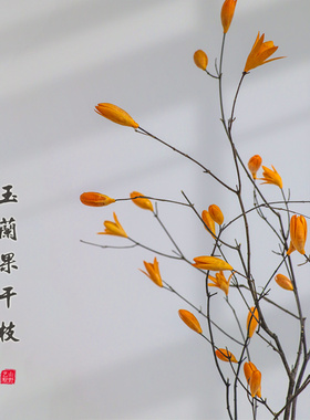 山野艺墅玉兰花干树枝长枝枯天然风干花枝禅意侘寂风客厅装饰摆设