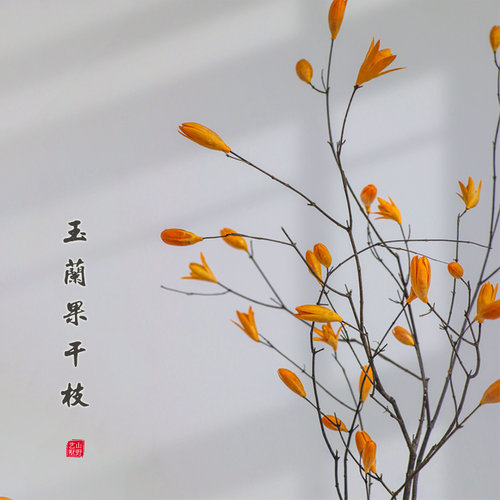 山野艺墅玉兰花干枝装饰客厅