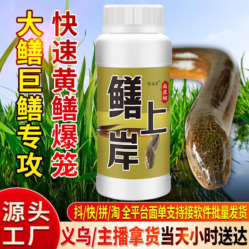 抖音同款鳝上岸钓鱼巨物上岸鳖大鲤草青鲢鳙罗非鳝鱼钓鱼小药水诱
