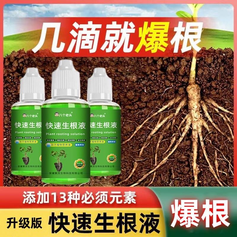 抖音同款快速生根液植物通用扦插月季多肉富贵竹蝴蝶兰水培移栽生
