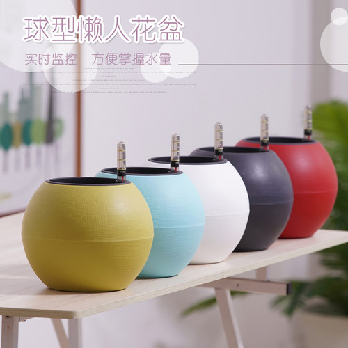 绿萝自加厚大号圆球形可储水花盆