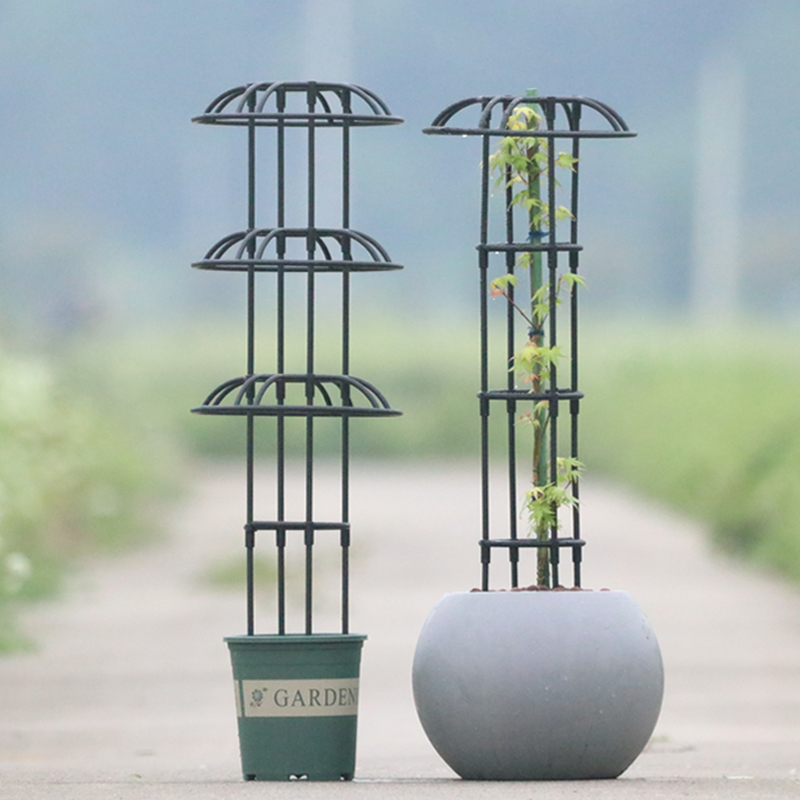 小型园艺爬架植物月季花支架花架单双圈伞形爬藤架铁线莲灯笼花攀