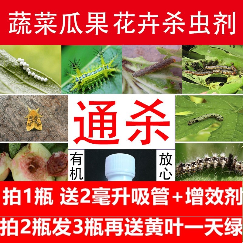 跳蚤杀虫剂家用床上除灭蟑螂蚂蚁潮虫虱子药除螨喷雾气雾百驱虫灵在类目 洗护清洁剂/卫生巾/纸/香薰, 驱虫用品, 灭鼠/杀虫剂中 - 来自Buy2taobao.com提供专业的淘宝代购服务
