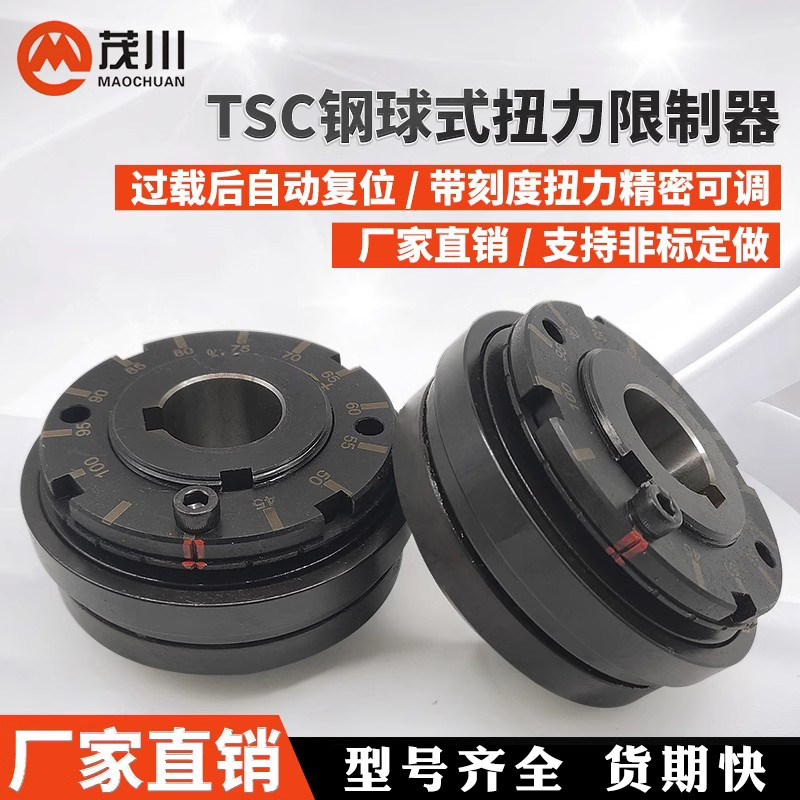 tsc/SPK钢球式扭力限制器保护器