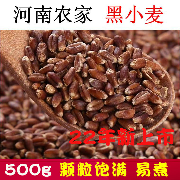 河南本地新货500g黑小麦农家黑麦粒带皮粒发小麦草打豆浆煮粥包邮