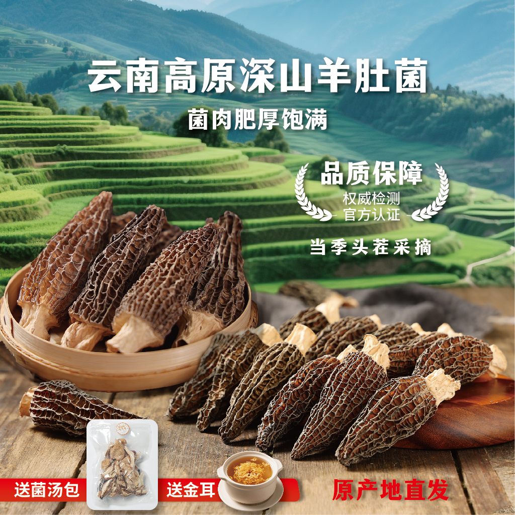 云南高山羊肚菌干货2025头茬新货