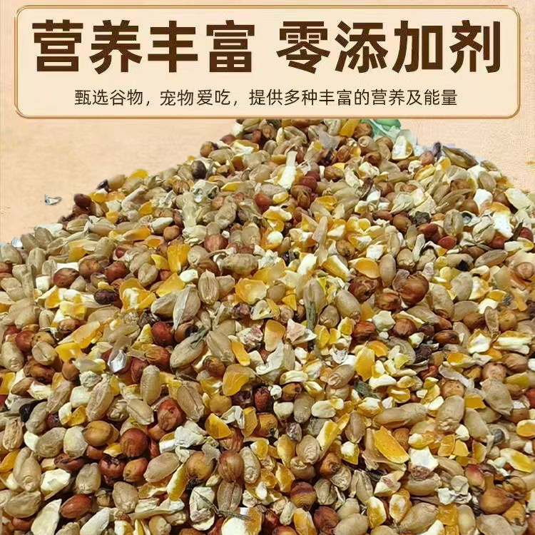 高梁麦子玉米碎营养喂鸡粮食