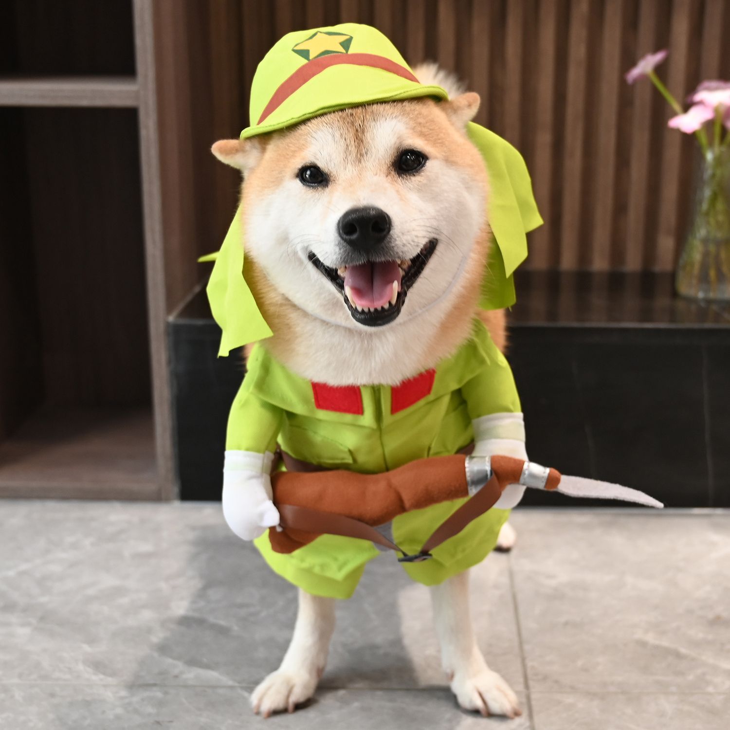 我有一只小八嘎/寵物狗狗