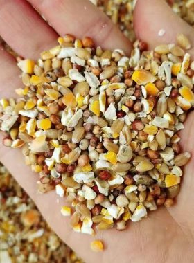 高梁麦子玉米碎混合喂鸡玉米粉碎渣玉米糁鸡鸭粮食鸽子粮兔猪仓鼠