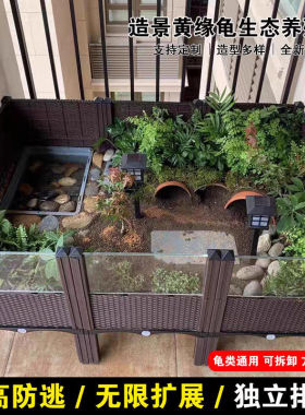 黄缘龟专用饲养箱陆龟半水龟缸生态造景箱 安缘台缘养殖箱