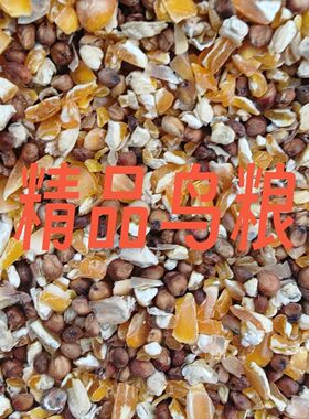 新鲜玉米高粱鸽子鸡鸭喂鸡红高梁营养粮食宠物鸡营养饲料鸡食鸽粮