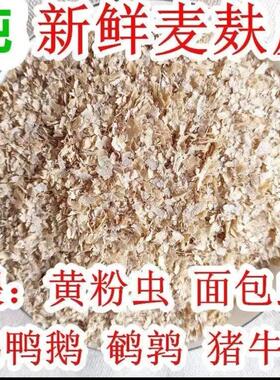 麸皮饲料麸子饲料鸡鸭猪鱼促消化营养小麦维生素蛋白营养补充狗粮