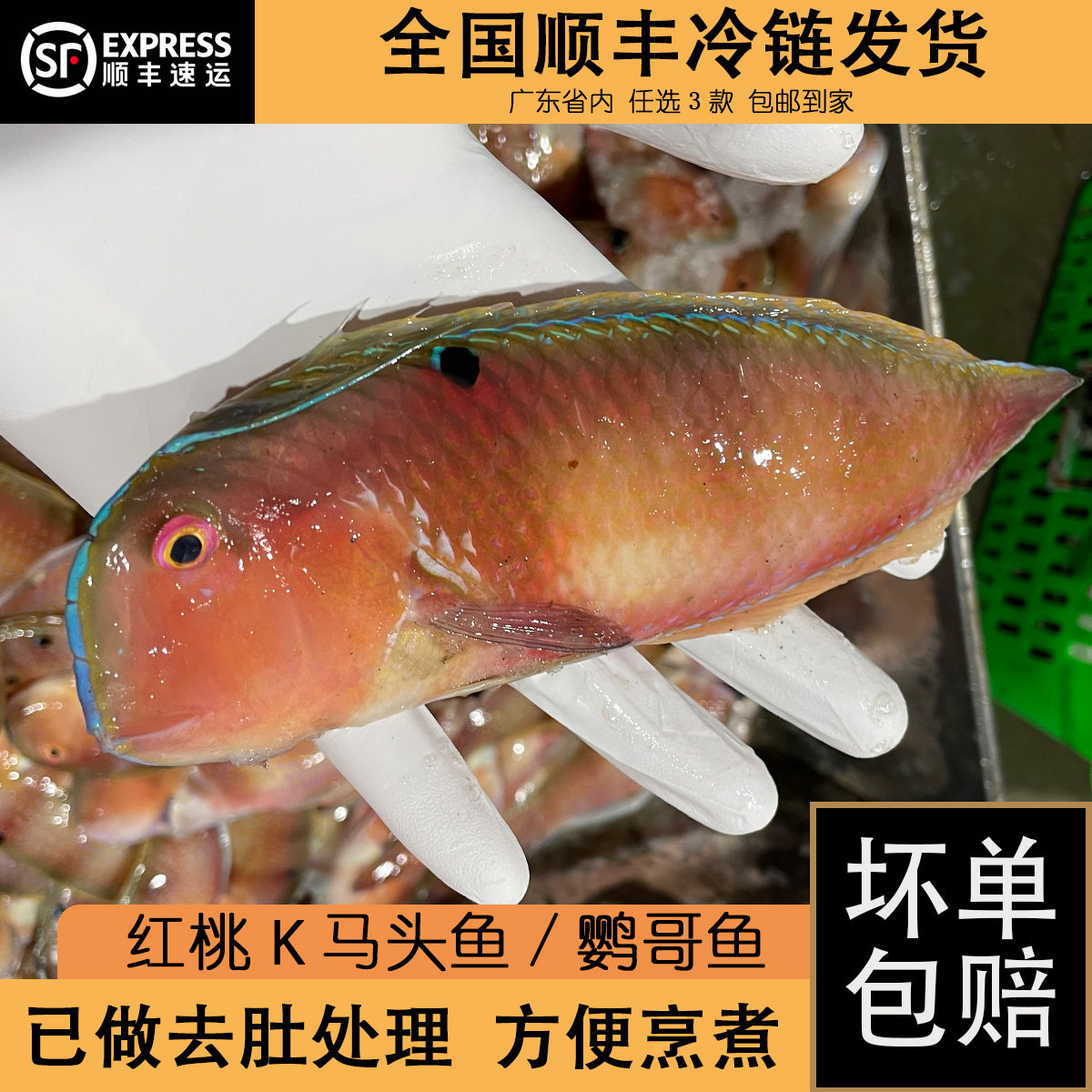 红莺歌深海鱼红桃k潮汕海鲜鹦鹉鱼妹仔水产南鹦歌鱼马头鱼斤3-5条
