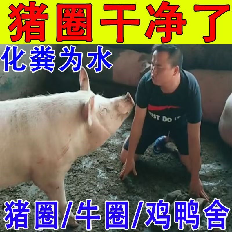 大便分解剂化粪剂强效溶剂解粪便下水道通堵旱厕消味降地漏防臭器