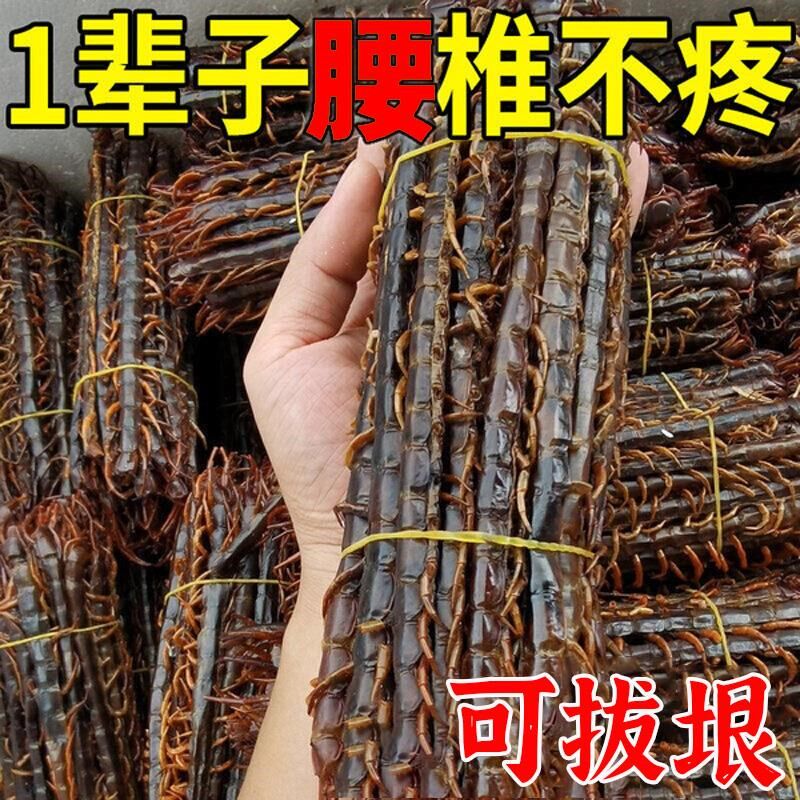 【1辈子腰不疼】腰椎疼痛贴膏腰突压迫神经腿疼麻木腰部过度劳损