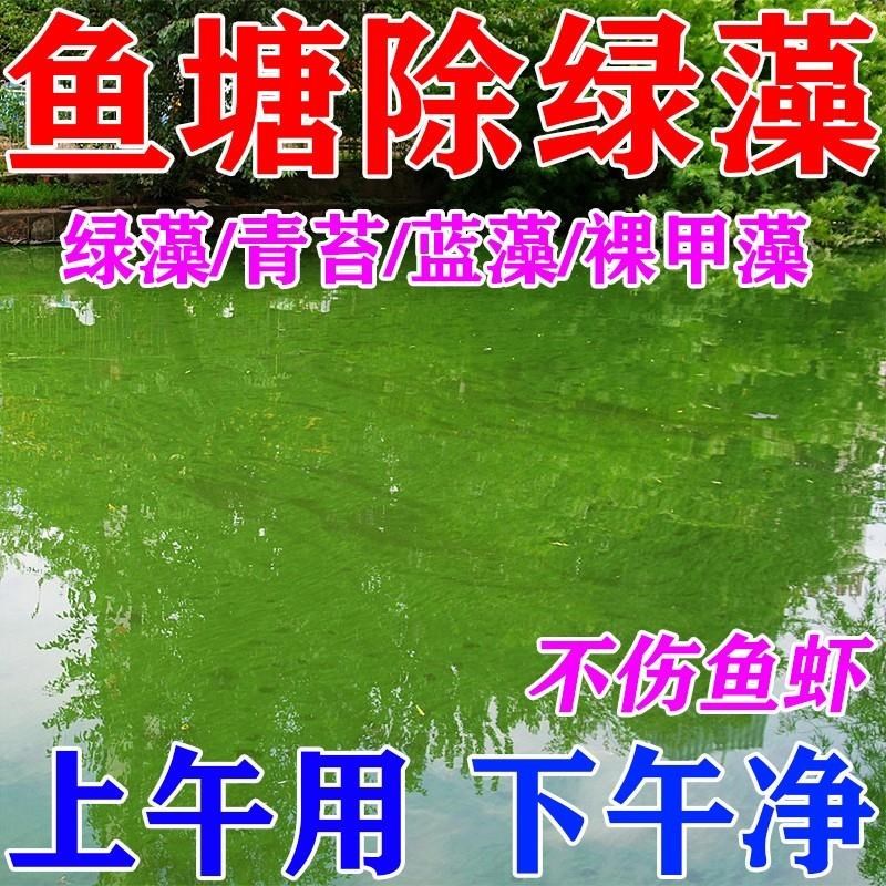 鱼池除藻去苔剂鱼塘净水除绿水碱油膜青苔褐蓝藻分解酶消毒杀菌药